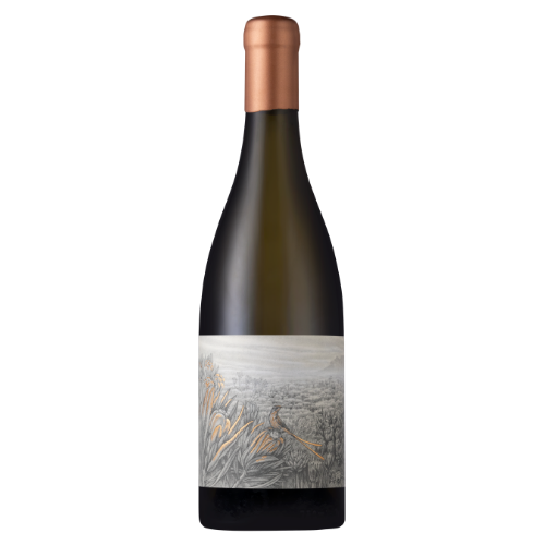 NITIDA CORONATA INTEGRATION 2024